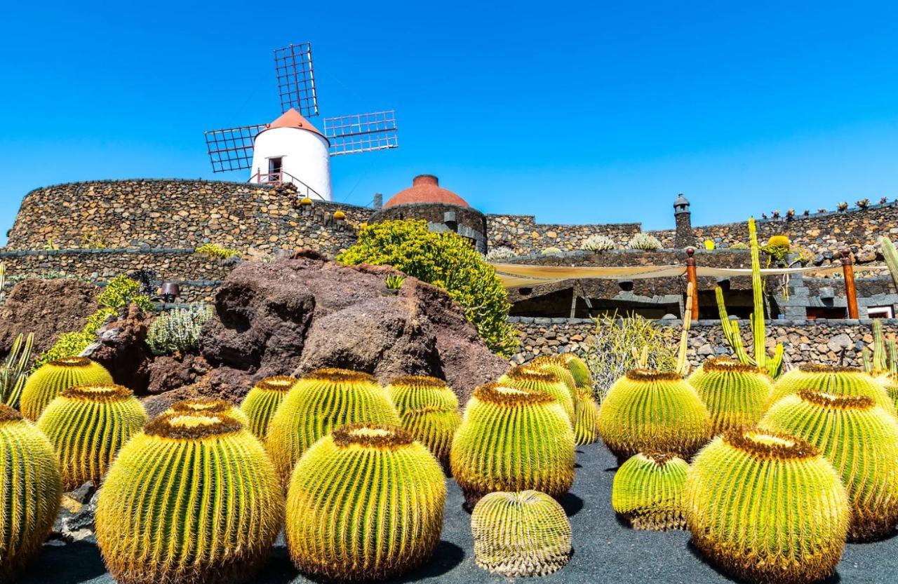 Casa Tortuga Villa Punta Mujeres Exteriör bild